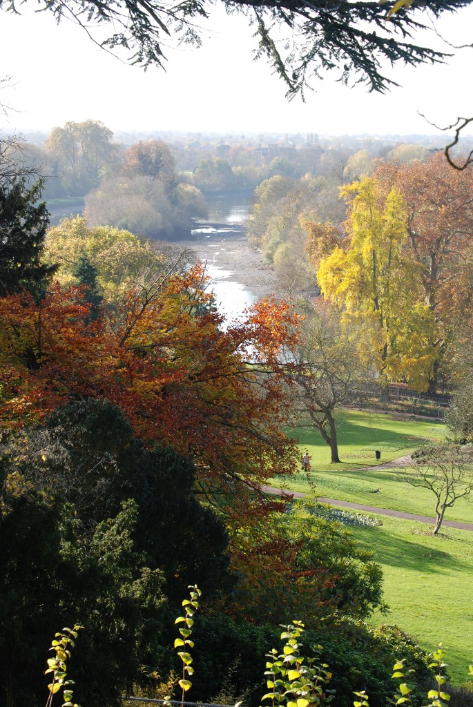 Autumn trees overlooking the River Thames valley near Richmond